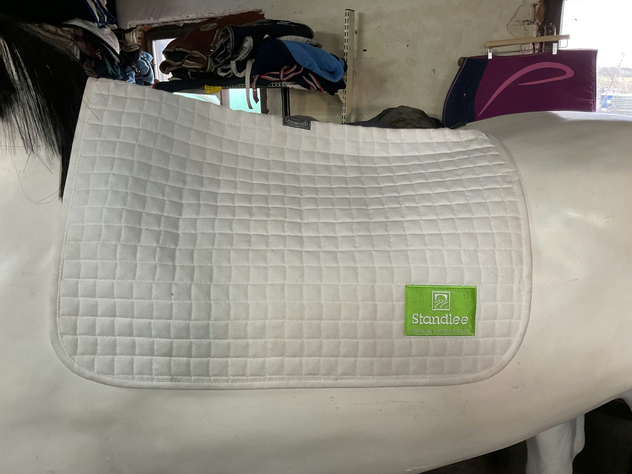 Equiessentials schabrak, f, vitt