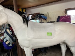 Equiessentials schabrak, f, vitt