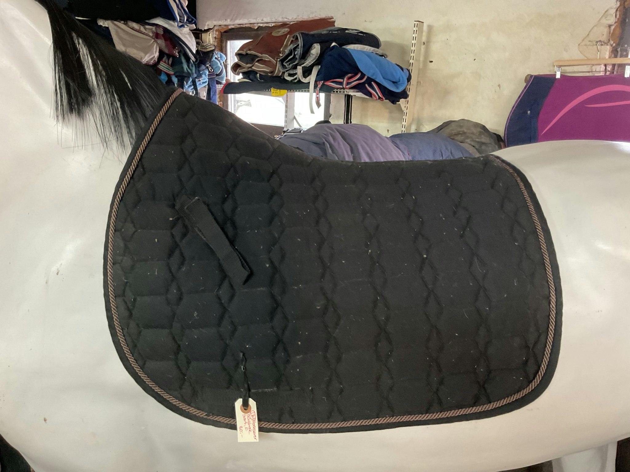 Horsesaver schbrak, svart, f