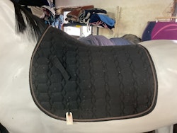 Horsesaver schbrak, svart, f
