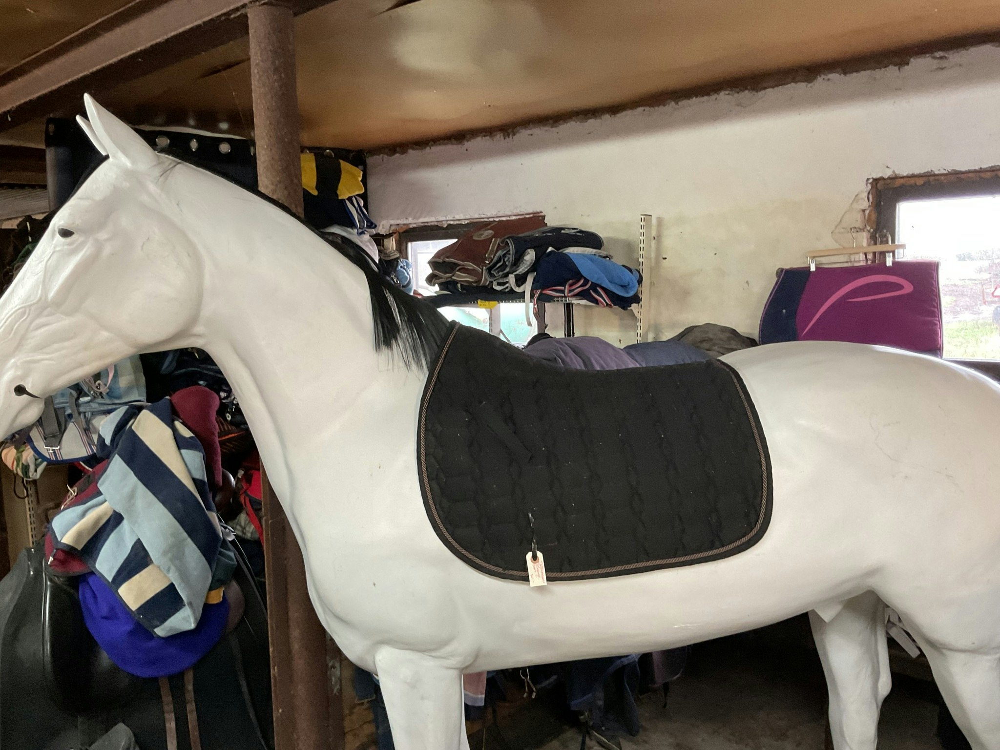 Horsesaver schbrak, svart, f