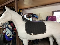 Horsesaver schbrak, svart, f