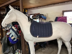 Horsesaver schabrak, mörkblå,f