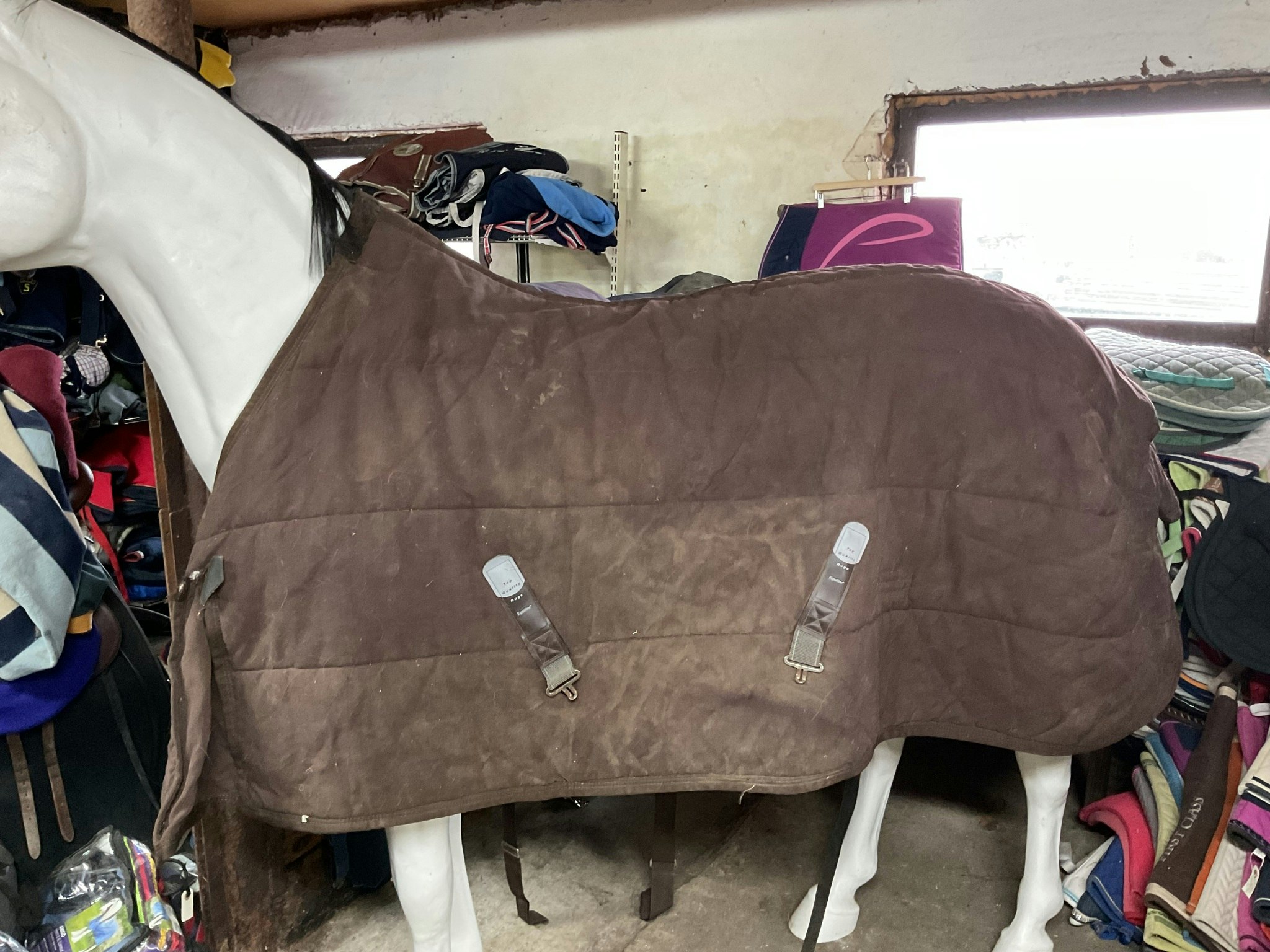 Equiline stalltäcke, otvättat, brunt, 300 gr, 155 cm, ett hål