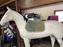 Horse back, grönt manchesterschabrak, f