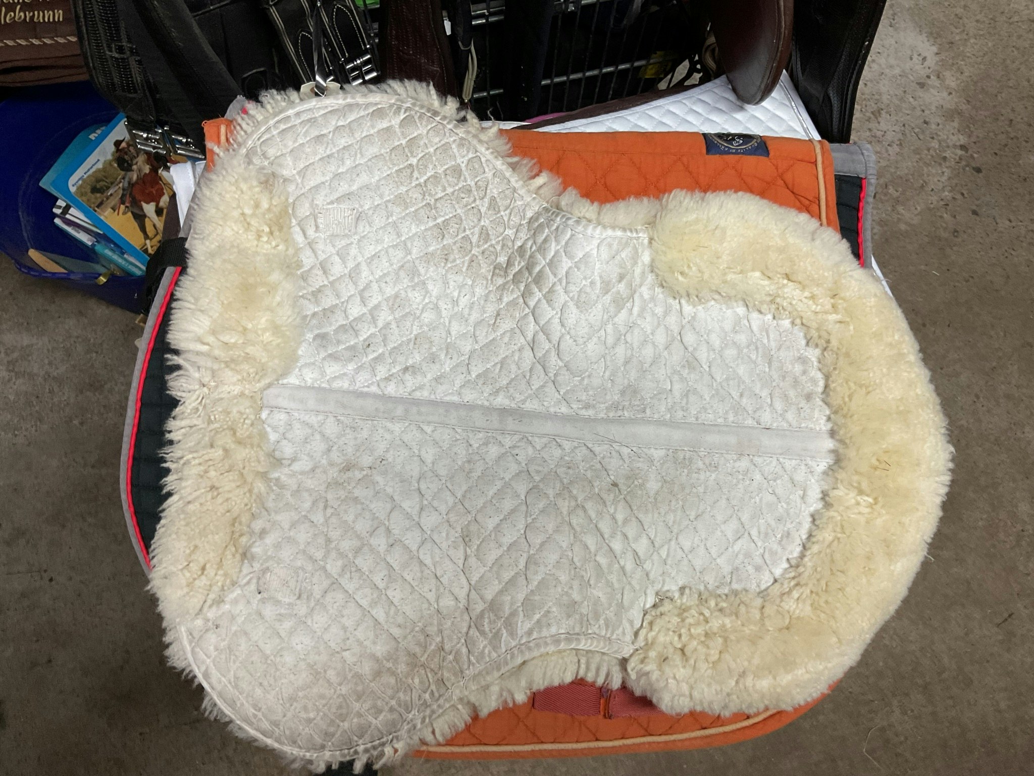 Padd vit, 50 cm, söndrig undertill