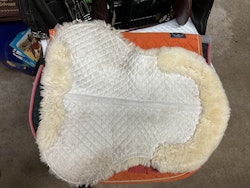 Padd vit, 50 cm, söndrig undertill