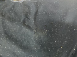 Fleecetäcke, 125 cm, blått, otvättat, ett hål