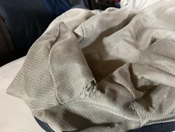 Bucas flughuva, f, ett hål vid örat