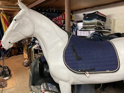 Equiline schabrak, blått, F, sönder insidan