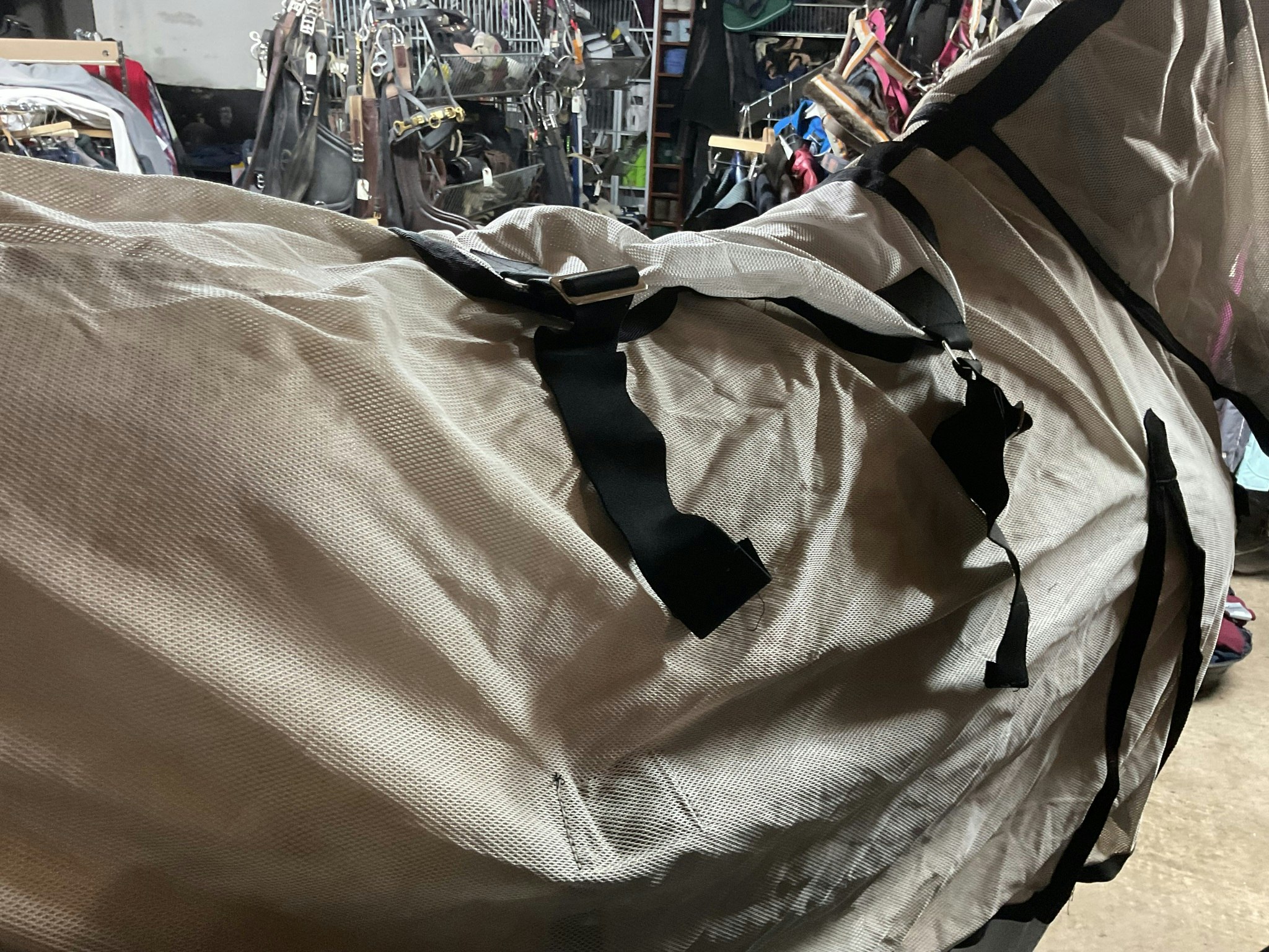 Horse power flugtäcke med hals, magplattan av-går att sy fast, 105 cm