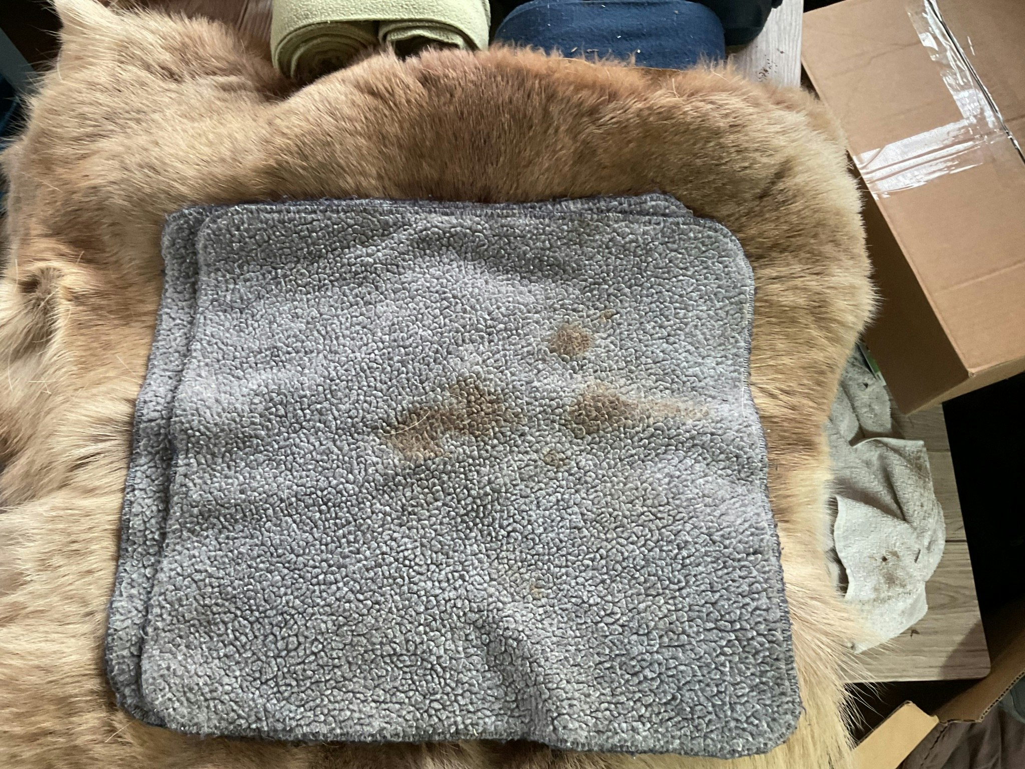 Paddar,blåa, 2-pack