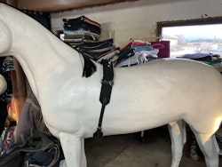 Longeringsgjord,svart,ca 190 cm lång