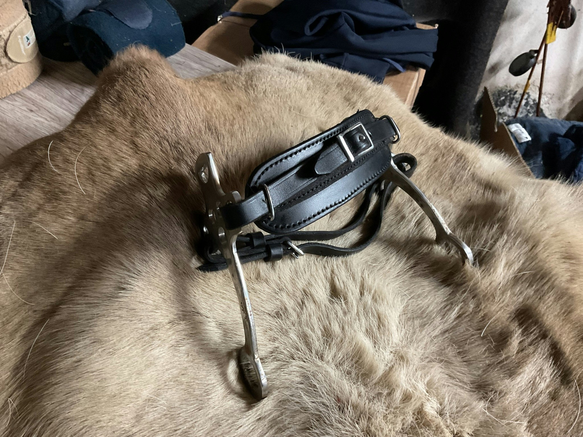 Hackamore svart, ca 17 cm skänklar, troligen cob