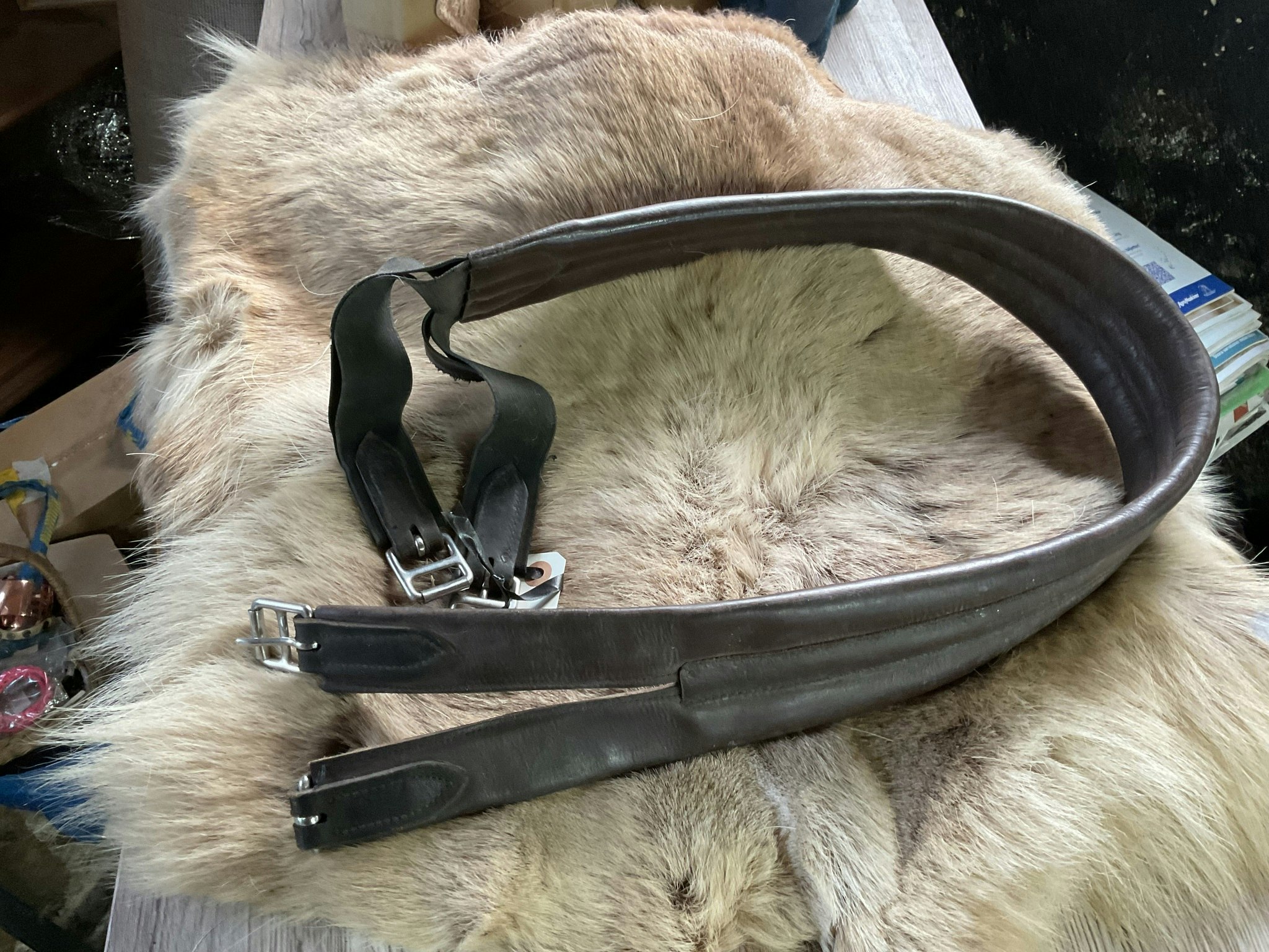 Sadelgjord brun, 130 cm