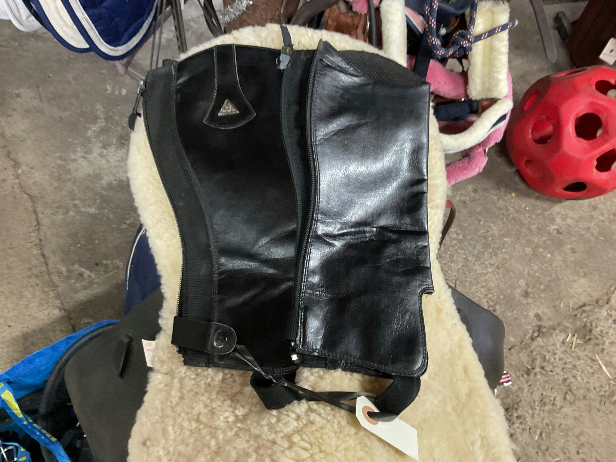 Mountain horse,shortchaps,svarta, stl junior s(8 år)