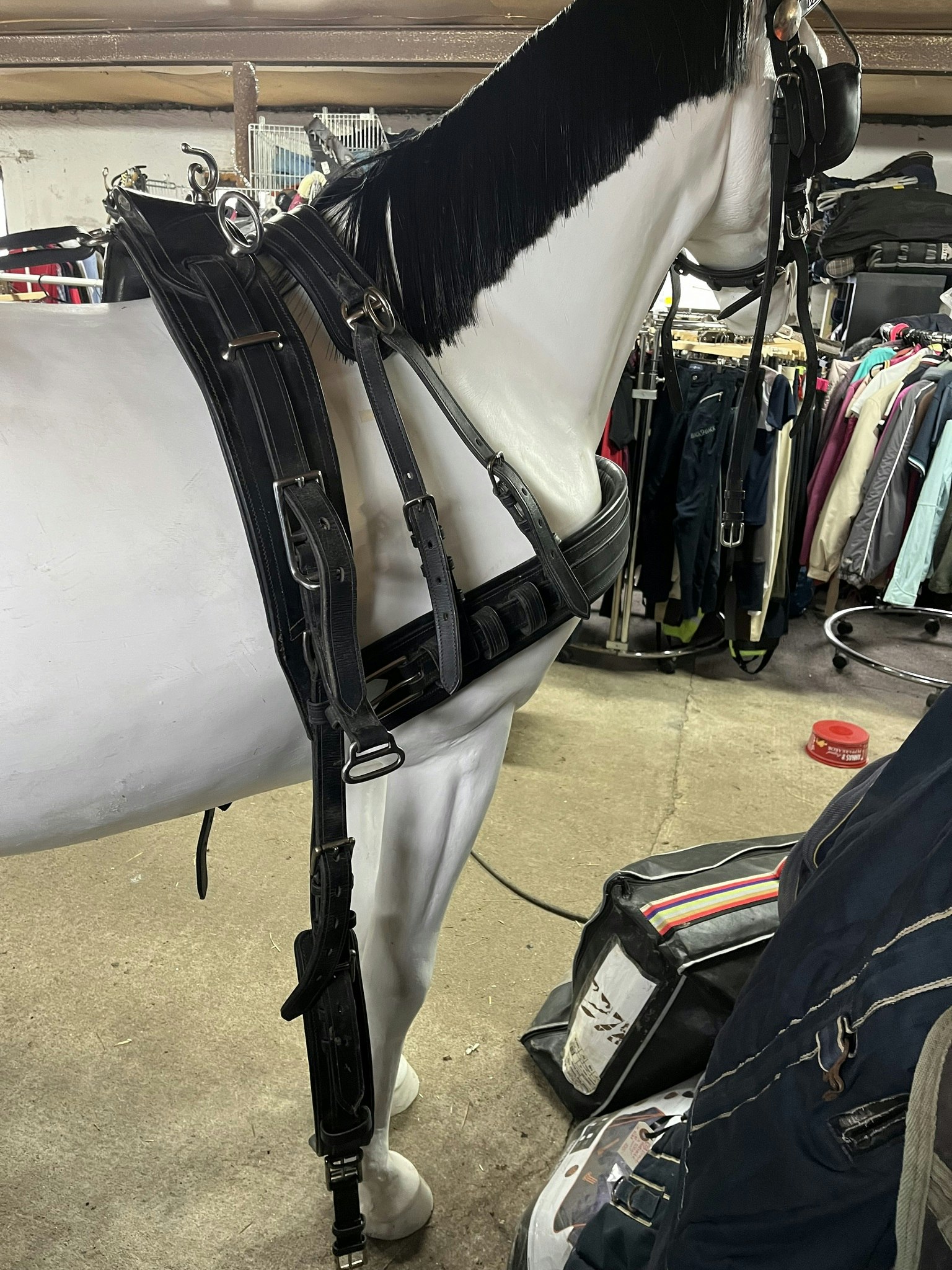 Ideal equestruan körsele inkl körträns, svart,f