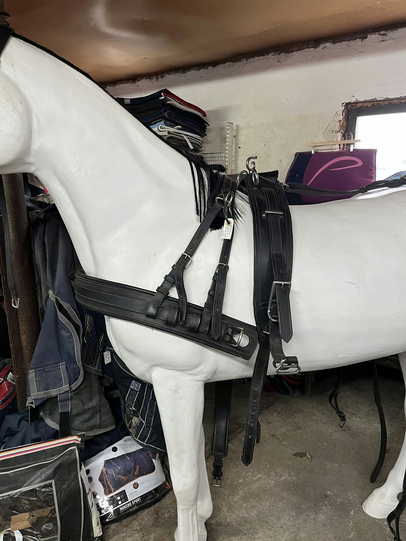Ideal equestruan körsele inkl körträns, svart,f