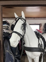 Ideal equestruan körsele inkl körträns, svart,f