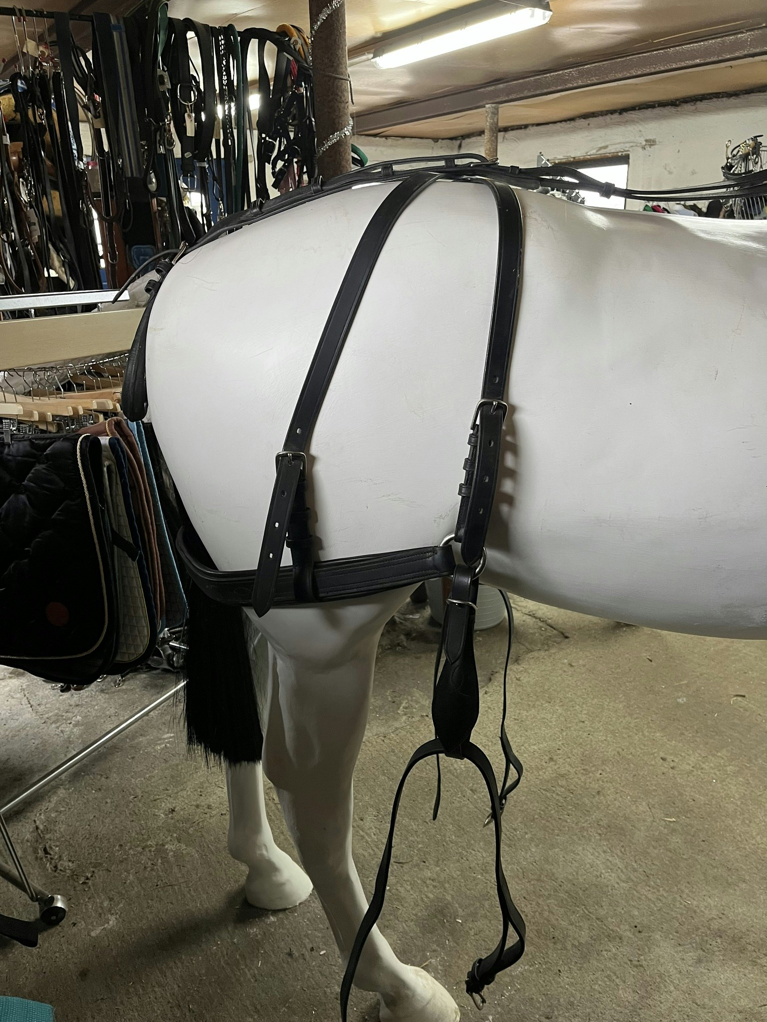 Ideal equestruan körsele inkl körträns, svart,f