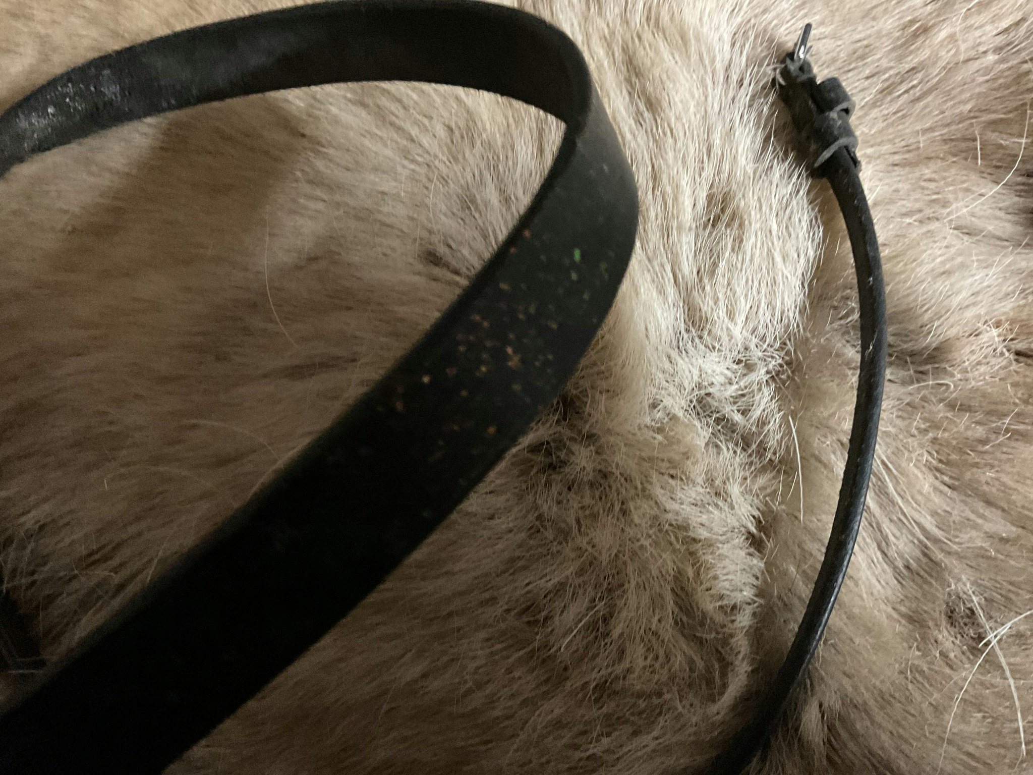 Claridge house,nackstycke,cob, svart med glitter