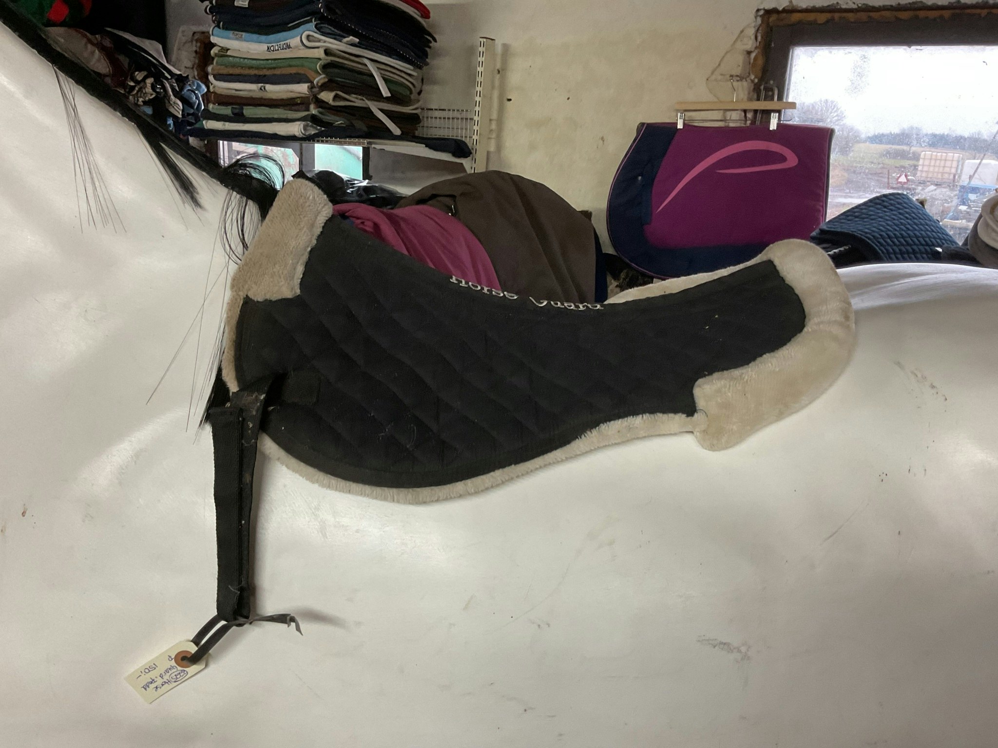 Horse guard,padd,p