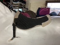 Horse guard,padd,p