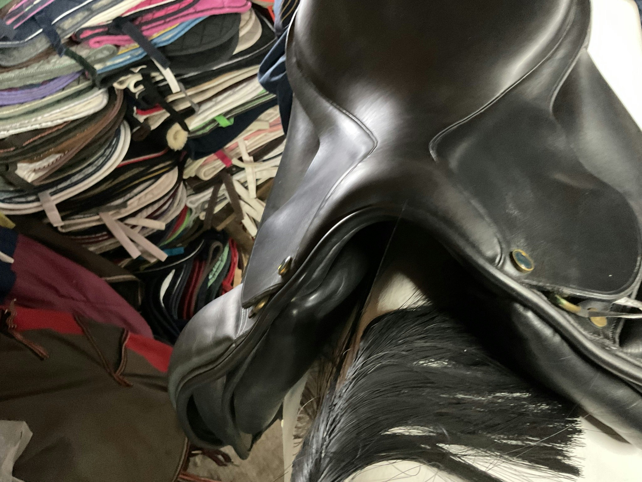 Dominus dressyrsadel,svart, M17N, fint skick