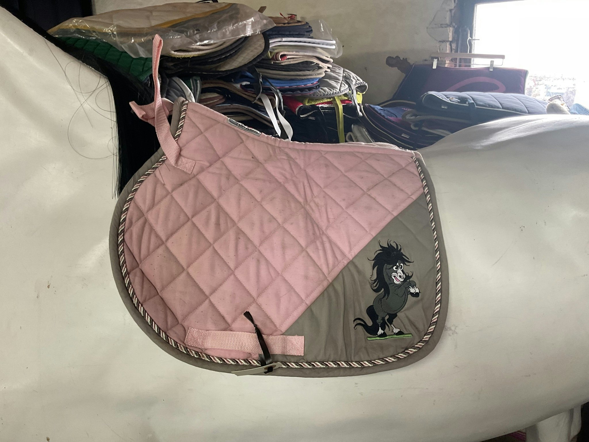 Mulleschabrak, rosa, shetland, ngn fläck