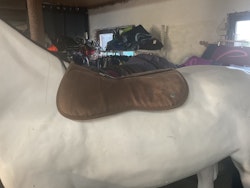 Ogilvy padd, memoryfoam,brun, 55 cm