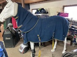 Trinity tjockt fleecetäcke med avtagbar hals(L), 165 cm