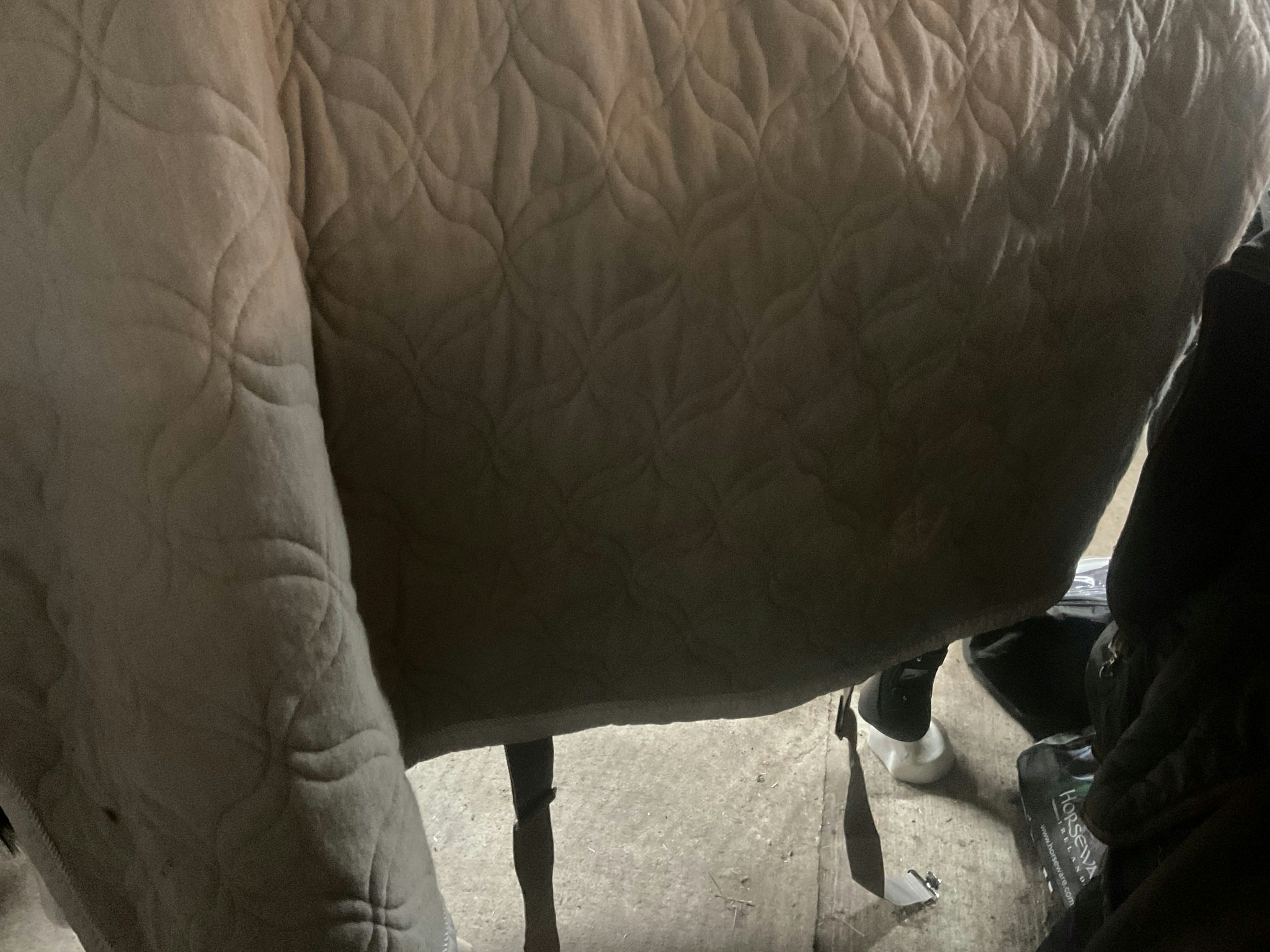 Eskadron platinum, täcke, XL,beige