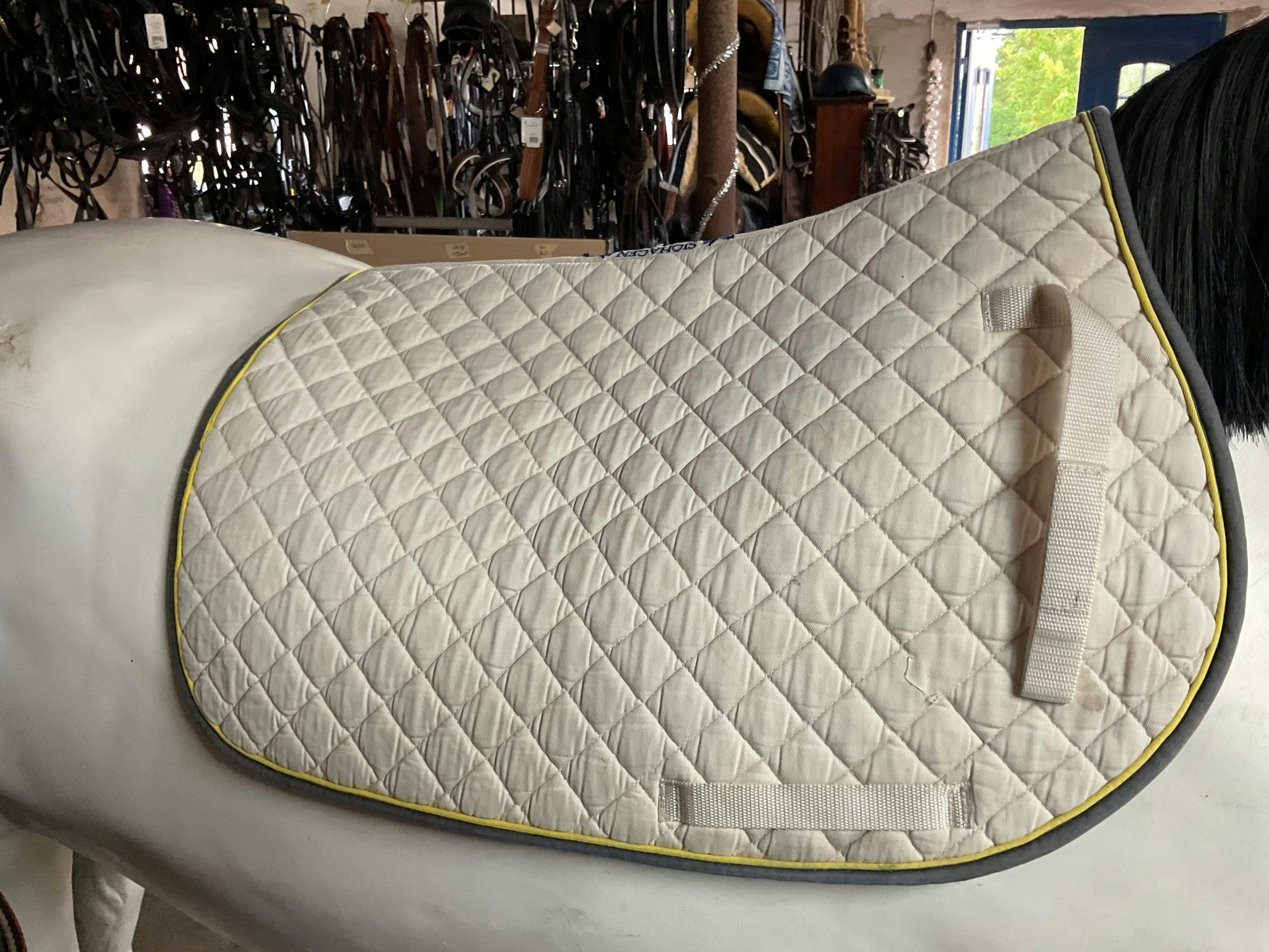 Schabrak,ar,17”,vitt