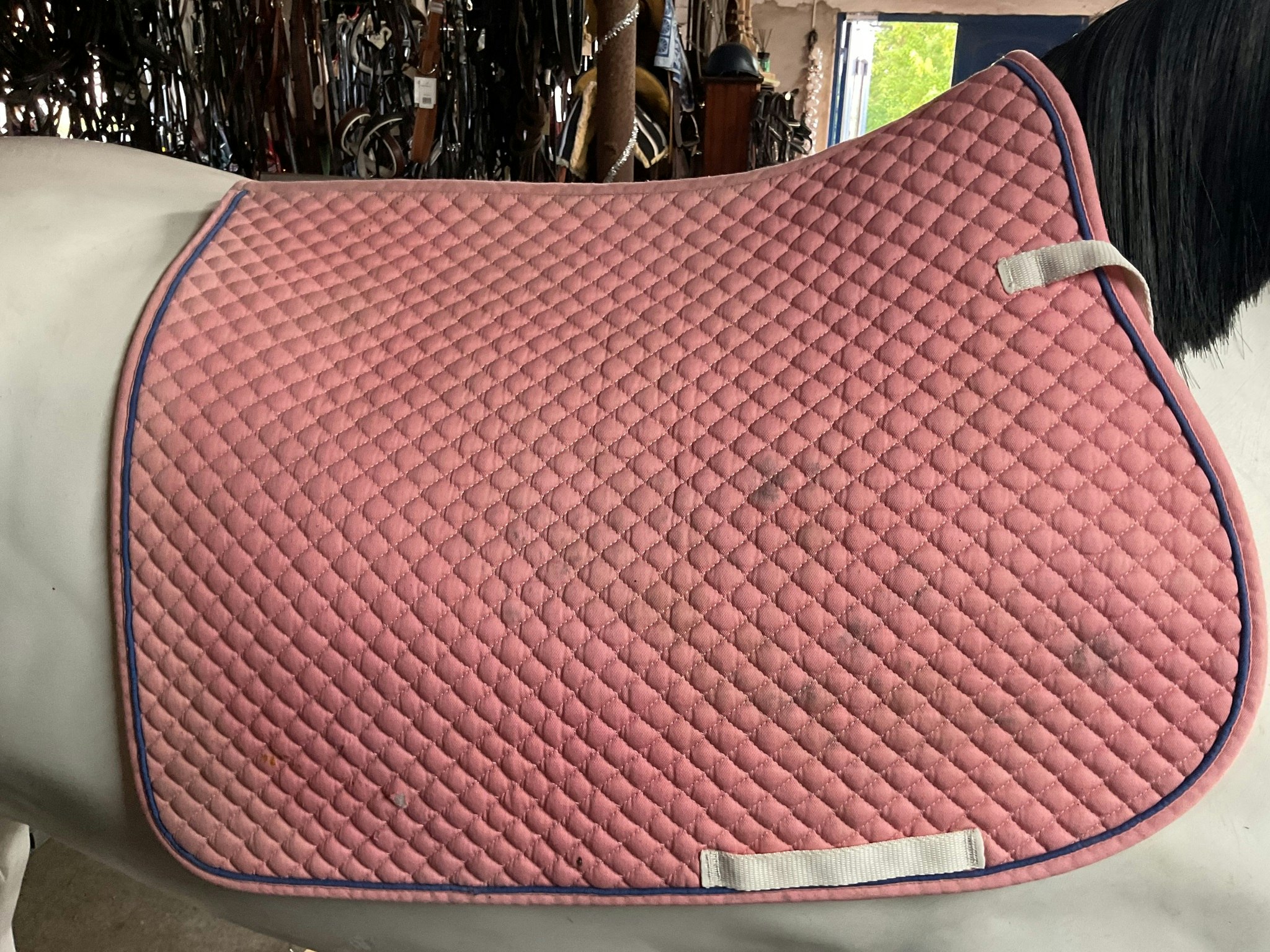 Globus schabrak,rosa,f