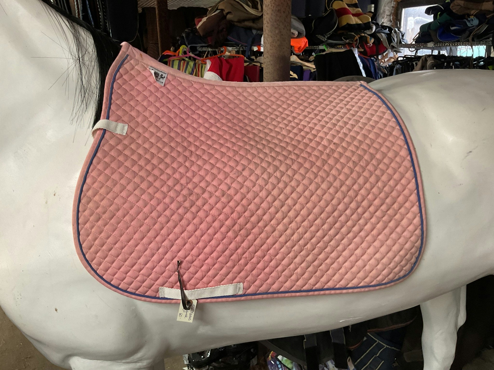 Globus schabrak,rosa,f