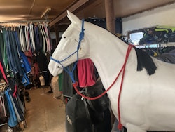 Repgrimma med rött rep,