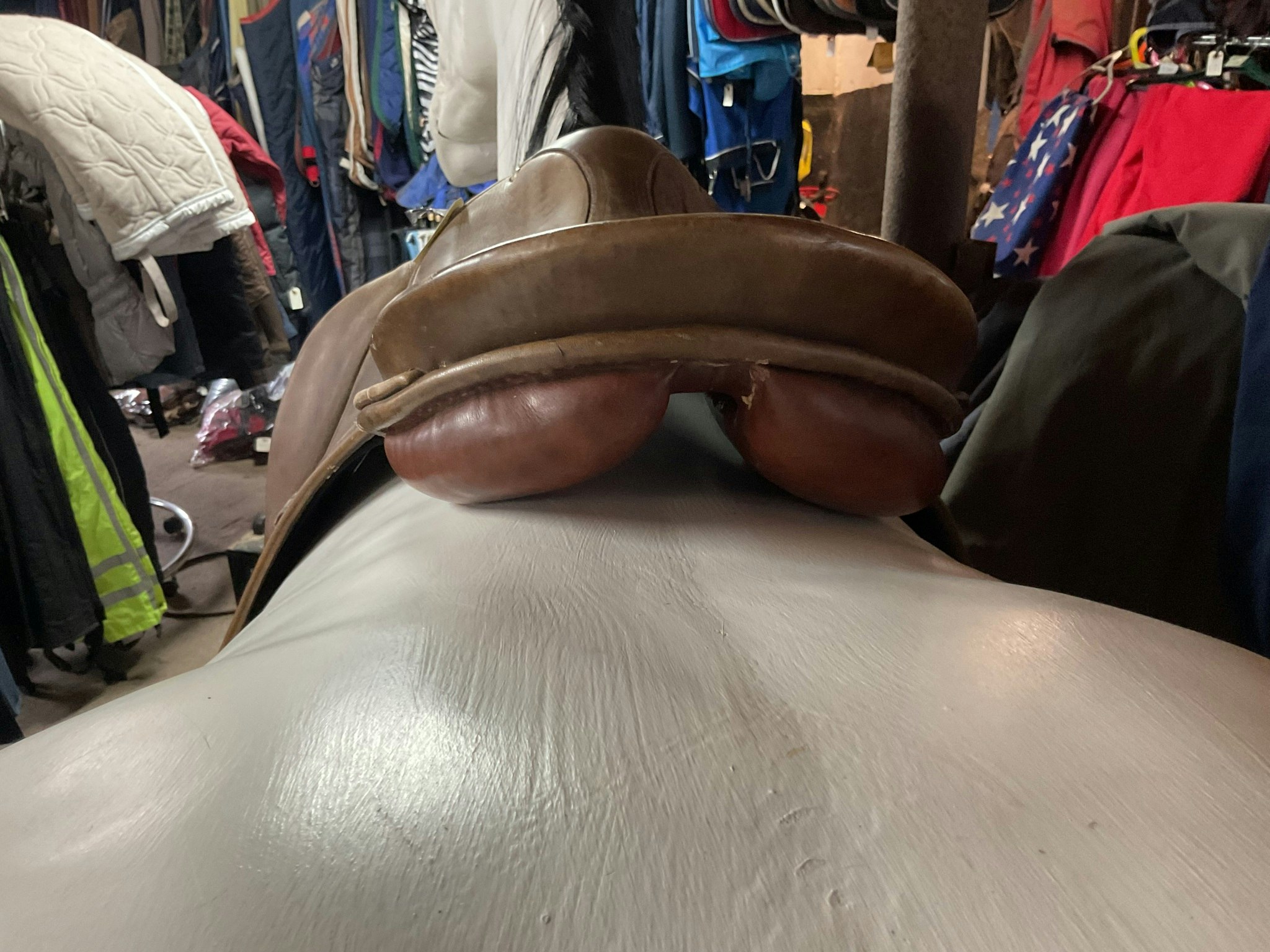 Stubben parzival dressyrsadel, brun,31 bom, 18-18,5”