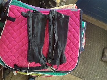 Steeds shortchaps,svarta,KL,ca 33 cm