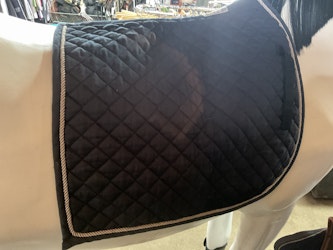 Showmaster, schabrak, blått, dressyr,f