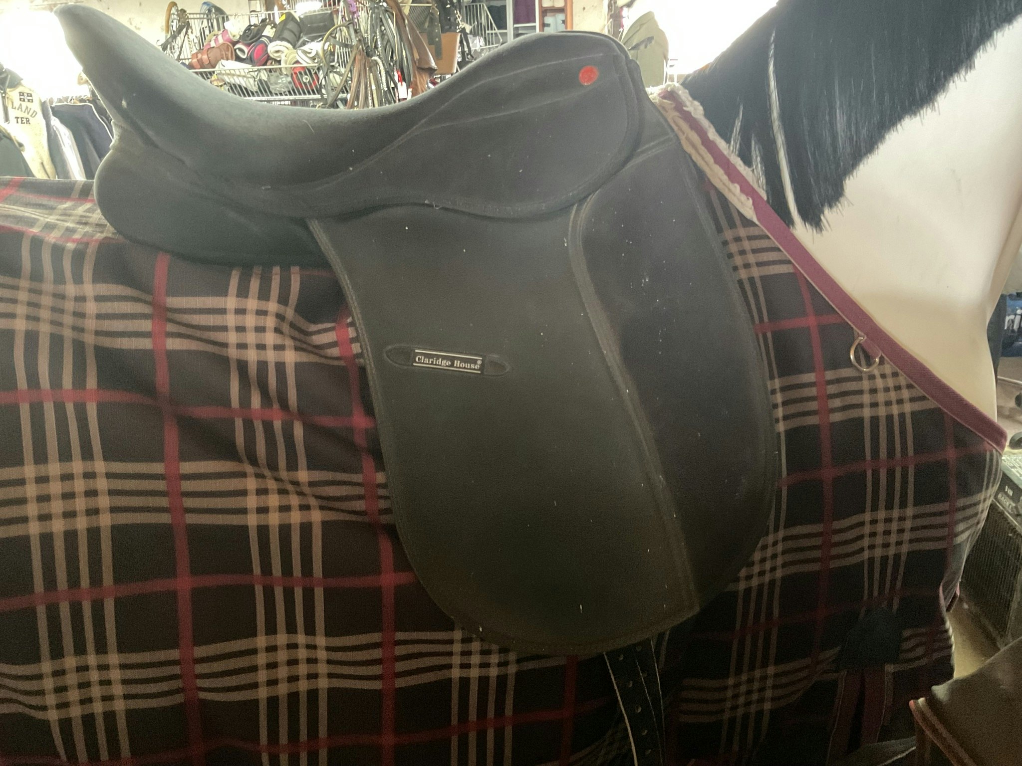 Clarisge house,dressyrsadel, 17,5”, svart, 31 bom, släppt en söm
