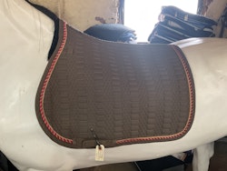 Catago schabrak, brunt, h,f