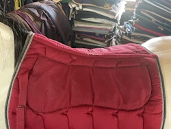 Epona schabrak,vinrött,f,h