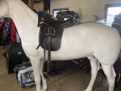 Stubben sadel,island,XW, svart, 16,5-17”,bennis harmony elegant rs,inkl stigläder,stigbyglar,35 cm sadelgjord