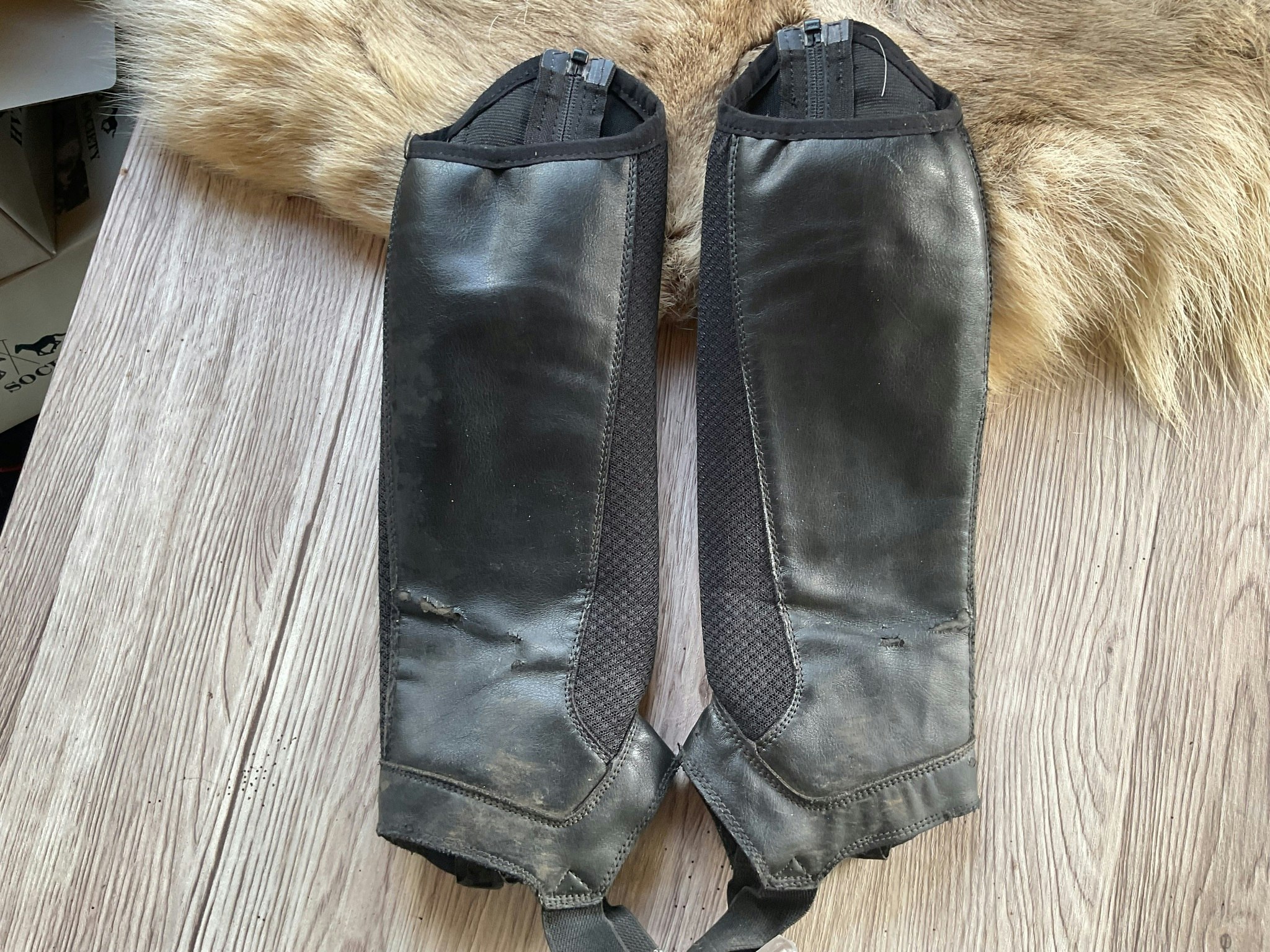 Fouganza shortchaps,”nät”, 10 år/höjd 32 cm