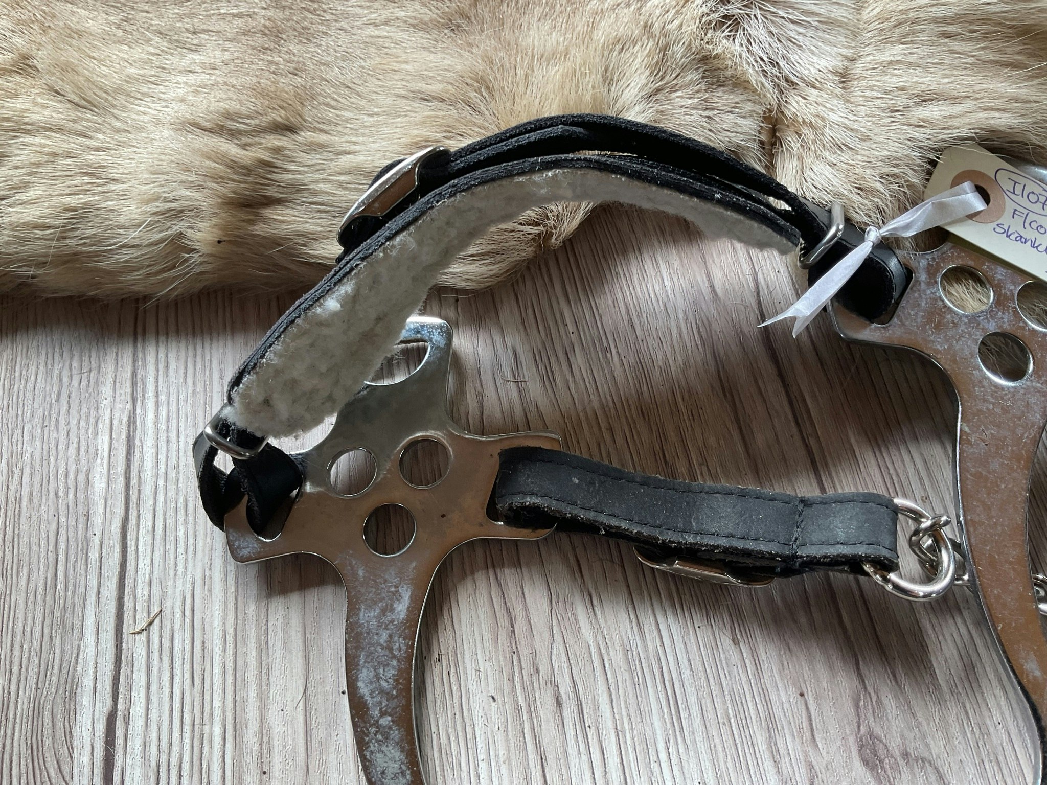 Hackamore,cob/f,svart,skänklar,18 cm
