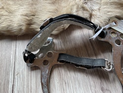 Hackamore,cob/f,svart,skänklar,18 cm