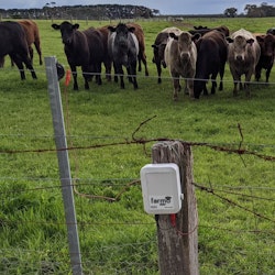 Electric Fence Sensor