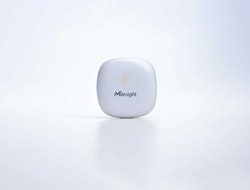 Mini Leak Detection Sensor WS303