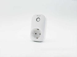Portable Socket WS523