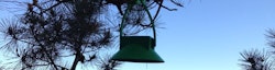 LoRaWAN Forest Fire Detection System.